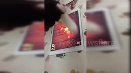 Clever cat is obsessed with playing mobile game on tablet