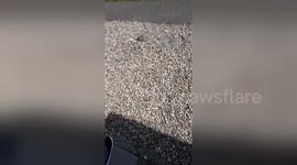 Newsflare Edit - Scaring mum part 4.