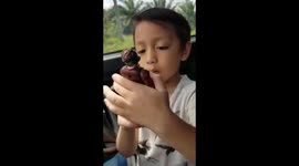 Malaysian Boy Toys review