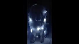 Christmas is coming
