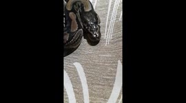serpiente ,snake lengua slow motion