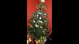 Kitten climbs Christmas tree