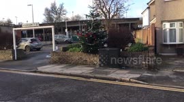 Car Park Tree Gets Surprise Make Over