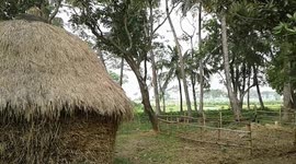 Bengal village scene.