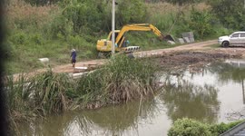 Development by man encroaches on habitat of this wild bird, he is quite brave for his size, but eventually scared away by a big monster digger.
