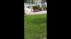 Warning Adult Lauguge/Violence...Police exchange mutipile rounds of gunfire with person in apt complex later man found dead