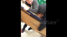 Men fight over a TV in UK supermarket on Black Friday