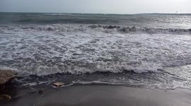 surf in Cannes, vagues et vent au Palm Beach, Alpes-Meritimes, PACA, France