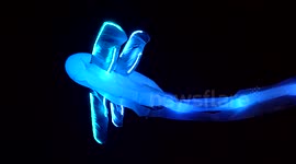 Fête des lumières de Lyon – superbes animaux volants et lumineux – magic - Lyon, France