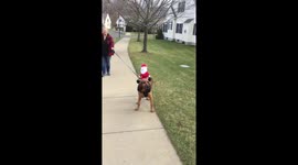 Daisy gave Santa a lift. https://t.co/Tf51M7trDy