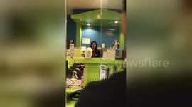 Newsflare Edit - Wag that tail! Clingy Maltese puppy ecstatic to see his human