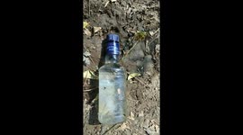 Trick to water plants