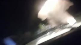 Forest officials drive wild elephant out of town in mid-night chase