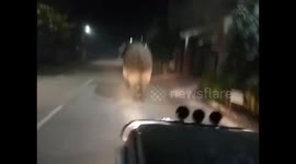 Footage shows police chasing off wild elephant in eastern Indian state