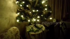 Christmas Tree 2018