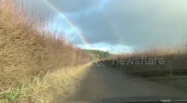 Rainbow chasing
