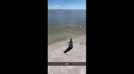 RIP Snowman