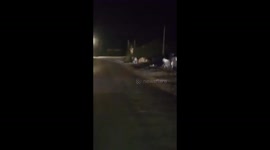 Strange sight of calf chasing young lion in Indian town