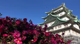 Nagoya Castle, Aichi, Japan