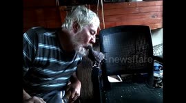 Man feeds pigeon with his mouth