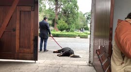 When you realize you’ve to go back to work after all those Christmas dinners