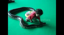Baby Plays With Python