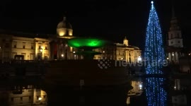 Trafalgar Square Christmas tree sparkling with hundreds of lights reflected in the fountain