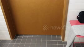Tall bathroom door in Switzerland