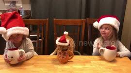 Girls and their cat drink coco in santa hats