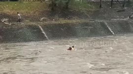 the boy drifted away saved