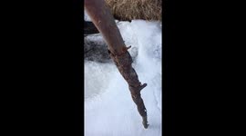 almost frozen