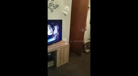 Happy New Year! Funny clip Queen