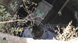 7-year old Leopard rescued from 50 feet deep well  In India.