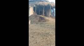 Indian villagers chase rogue elephant with burning torches