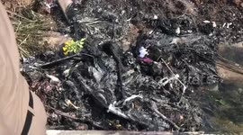 Disabled round-the-world pilot dies in plane crash in Thailand