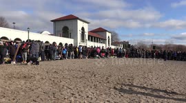 Hundreds take polar bear plunge in Toronto on New Year's Day