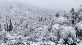 Snow in the desert? Wintry scene covers Arizona national park