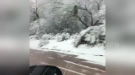 Tucson a winter wonderland as rare snow blankets Arizona city