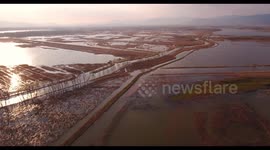 Aerial, beautiful giant swamp in the nature reserve Padule di Fucecchio situated in Tuscany, Italy on sunset