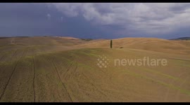Aerial, beautiful view on tuscan fall landscape with a lonely cypress tree in the middle of fields in Tuscany