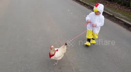 Little girl in chicken suit walks her chicken