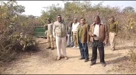 Leopard Caught After 8 Hours Operation On the 4th Day  after it attacked villagers