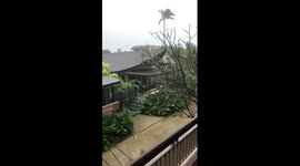 Rain before the storm Pabuk