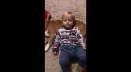 Dog and cute baby
