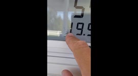 Trapped Spider