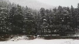 Snowfall in Upper Dharamsala