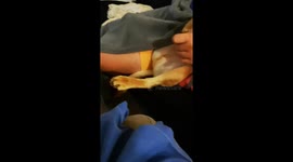 Snoring puppy