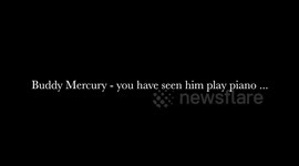 Buddy Mercury Plays Drums! The famous beagle who plays piano also plays the drums!