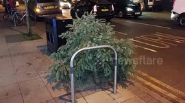 Christmas Tree Thrown Away In High Street Wimbledon