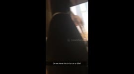 Dog watches TV